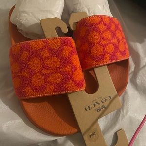 Coach slippers